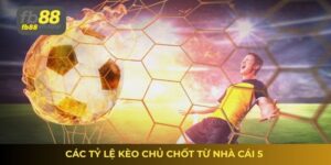 Tỷ lệ kèo nhà cái 5 bóng đá – Nhận định từ chuyên gia 2 Tỷ lệ kèo nhà cái 5